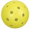Pickleball Osceola County