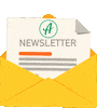 Newsletter 📝