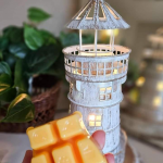 Scent + Warmer Of The Month