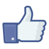 Fan Page