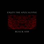 Enjoy the Apocalypse