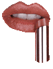 Makeup Artist Consultations