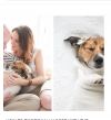 How To Deal With The Death of A Pet-Grief