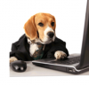 Can A Dog Or You Make Money Online?