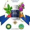 Dominate The Male Enhancement Niche Today with Aizen Power