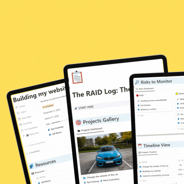 The Raid Log: The Perfect Tool for Project Managers Plus One Consultancy Call