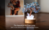 Conscious Items - Crystal Tree Lamp - Aquamarine Crystals Tree of Life - Gemstone Bonsai Tree Light - Bonsai Light Tree Guardian Angel Lamp - Lighted Trees for Decoration Inside
