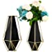 LULUDADA Gold Fall Black Irregular Tall Large Modern Metal Flower Trendy Vases for Home Geometric Decor Centerpieces Living Room (Large)