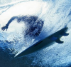 Spotify Surftraveler / Surftrip