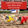 Corgi Nationals — So Cal Corgi Nation | Santa Anita Park | Arcadia, CA
