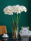 kimbovillea Pack of 6 - Artificial Amaryllis Flowers Stem Real Touch Large Tropical Flowers Household Plant for Vase Arrangements Home Office Decor (White)