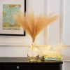 Large Glass Vases for Decor - Hewory Clear Tall Farmhouse Decorative Floor Vase, Round Bubble Balloon Vase Glass Jug Vases for Coffee Table Fireplace Mantel Entryway Living Room Bedroom Office Kitchen