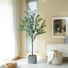 CHUVIM Artificial Eucalyptus Tree 6FT Tall Fake Silver Dollar Leaves Faux Eucalyptus Stems, Mordern Artificial Tree Plants for Home, Office, Courtyard Decor, Perfect Housewares Gift