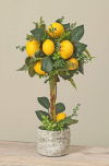 19 Inch Artificial Potted Lemon Topiary Tree in Ceramic Pot