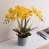 "FAVRD" Artificial Flowers Yellow Orchid Cement Vase Real Touch Environmentally Conscious Partly Recycled Fake Flowers Home Decor Office Décor Wedding Decorations Fake Plants, 25 X 16 X 25 inches