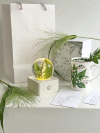 MISS LI GARDEN Forever Flower Special Edition,Lily of The Valley, White Base, Elegant Present for Girlfriend Wife Mom Women Enchanted Birthday Anniversary Wedding Home Décor