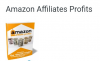 Amazon affiliate profits