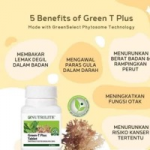 GREEN TEA TABLET💚