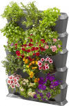 Gardena vertical plant