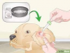 Treat your dog's ear infection with ease using our Ear Relief Finger Wipes. Convenient and effective, these wipes provide gentle cleansing and soothing relief.