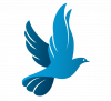 Blog en Wordpress