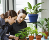 Plant Care Education Workshops and Services🪴