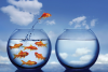 COMMENT  QUITTER SA ZONE  DE CONFORT ?