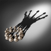 COMMENT  DÉVELOPPER  SONT  LEADERSHIP ?
