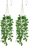 Hanging plants (with pot)