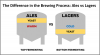 3.2 - Famílias Cervejeiras - Lagers - 18 Páginas