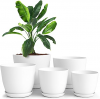 Plant Pots Indoor with Drainage (5 colors)