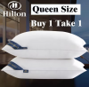 B1T1 Hotel Pillows