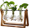 DEAL!! Plant Terrarium with Wooden Stand