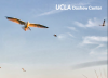 Published in UCLA's Envelope Magazine: Poetry pgs. 5, 25, 44