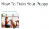 How to train your puppy.