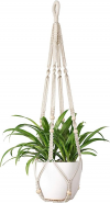 Macrame Plant Hanger Indoor