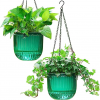 Hanging Gardens