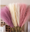 Fluffy Pamas grass decor