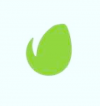 Envato  Market