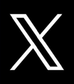 ⠀X