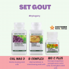 SET GOUT