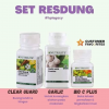 SET RESDUNG