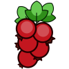 CranBerry Bot (Support)