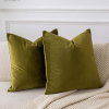 JUSPURBET Decorative Velvet Throw Pillows Olive Green