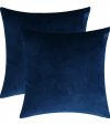 Rythome Set of 2 Comfortable Throw Pillow Cover