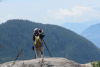 My Blog - weekly nature news