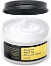 All In One Cream