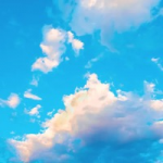 Follow on Bluesky or other socials above ⬆️