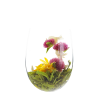 𝔜𝔬𝔲𝔱𝔲𝔟𝔢