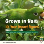 10 Year Impact Report 📈